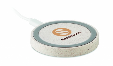 Logotrade firmakingitused pilt: Nisukõrre/ABS laadija 5W