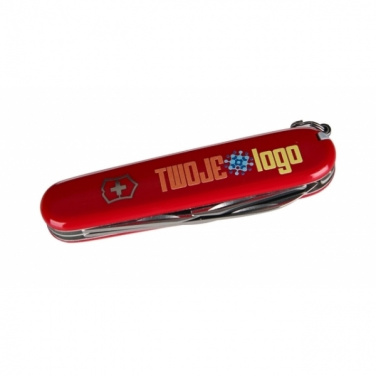 Logotrade reklaamkingid pilt: Taskunuga Explorer Victorinox