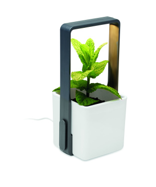 Logotrade reklaamkingid pilt: LED-valgustusega istutuspott LUSHLET