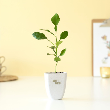 Logotrade mainostuote tuotekuva: Treemore Letterbox Trees Kaffir Lemon