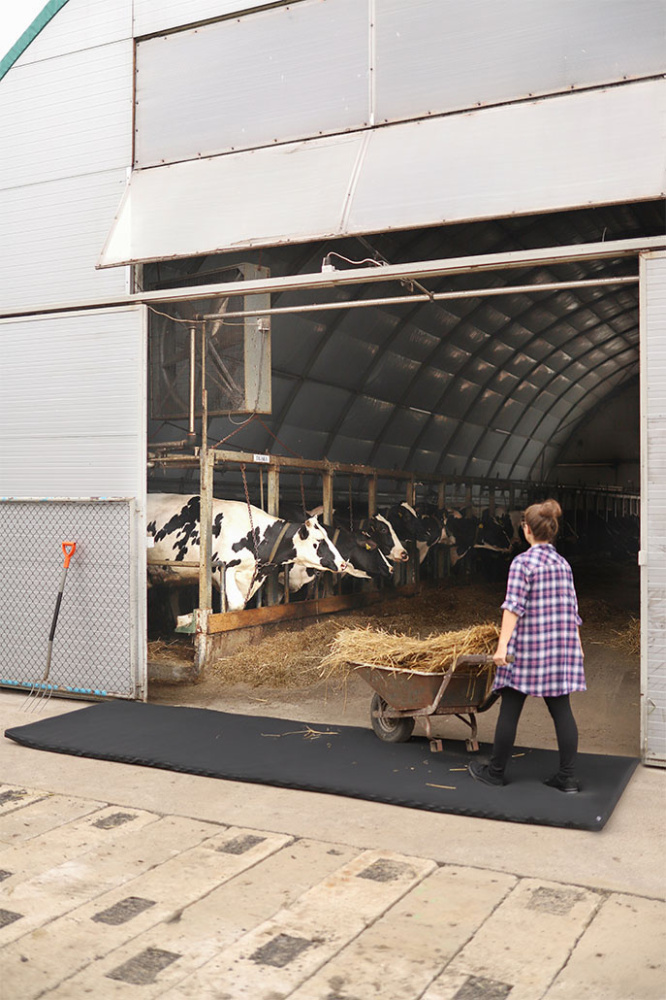 Лого трейд pекламные подарки фото: Перекрёстный дезинфицирующий коврик 120x600x4cm 1365087