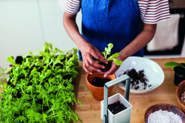 Лого трейд pекламные подарки фото: Indoor garden with LED light